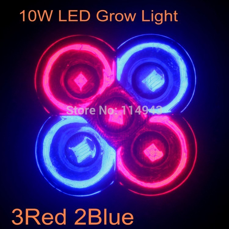 1pcs Great Brightness 10W Full Spectrum Grow Lamp E27 110V 220V Led Grow Lights for Flowering Hydroponics System 3Red 2Blue