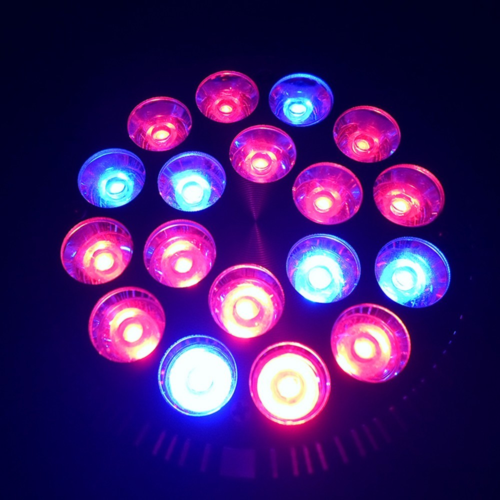 Free shipping 54w LED Grow Light AC85-265V E27 12Red 6Blue led light for flowering plant and hydroponics system