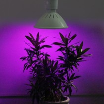 10pcs New Hydroponics Lighting 20W E27 166Red/34Blue Led Grow Light for Plants Flowering Led Lighting Aquarium Lamps