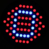 1X New Full Spectrum E27 6W 60LEDs Led Plant Growth Lights 40 Red:20 Blue Led Grow Lamps For Flowers Plant Hydroponics Lighting