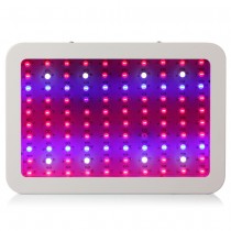 1pcs Full Spectrum LED Grow Light 1000W Double Chip LED Grow Plant Light for Greenhouse Grow Box Tent Plants Flower High Quality