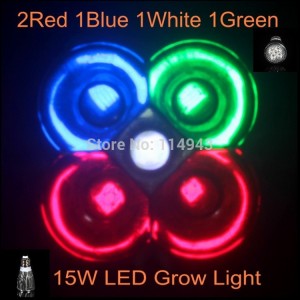 1X E 27 Led Grow Lamp for Flowering Hydroponics System 15W LED Grow Lights Lampada De Led 2Red 1Blue 1White 1Green 220V 110V