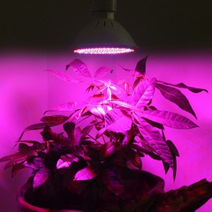 10pcs Led Plant Growing Lamp 12W E27 82Red:20Blue Grow Light SMD102 for grow box hydroponics system